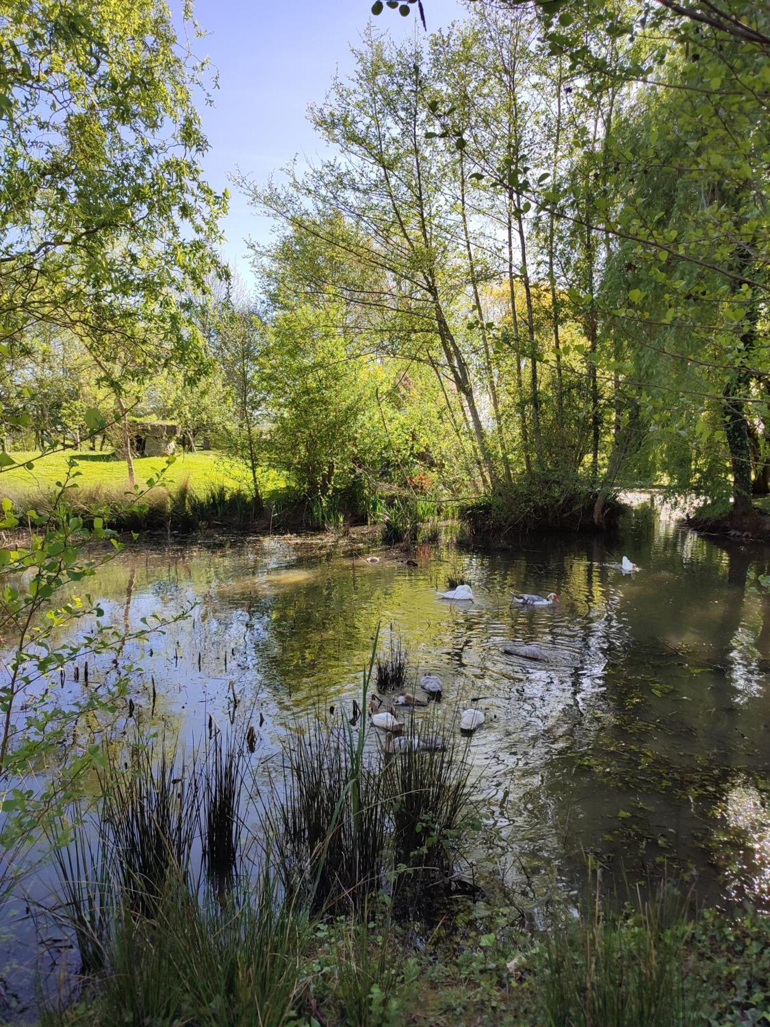 De Couleurs Et D'Eau Fraiche Bed and Breakfast Navarrenx Εξωτερικό φωτογραφία